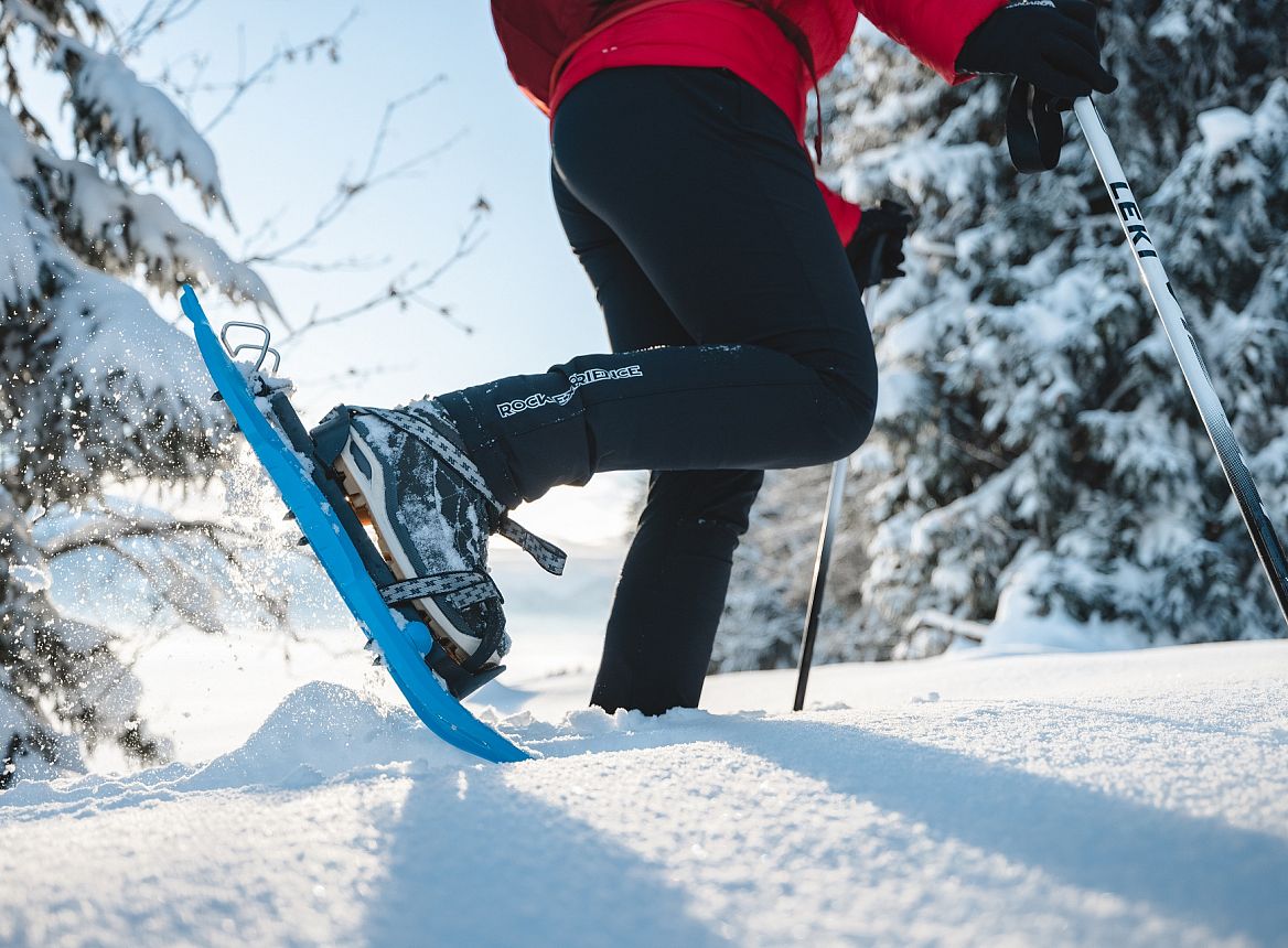 Schneeshuhwandern-Going-Foto-Roland-Defrancesco-10©rolartimages