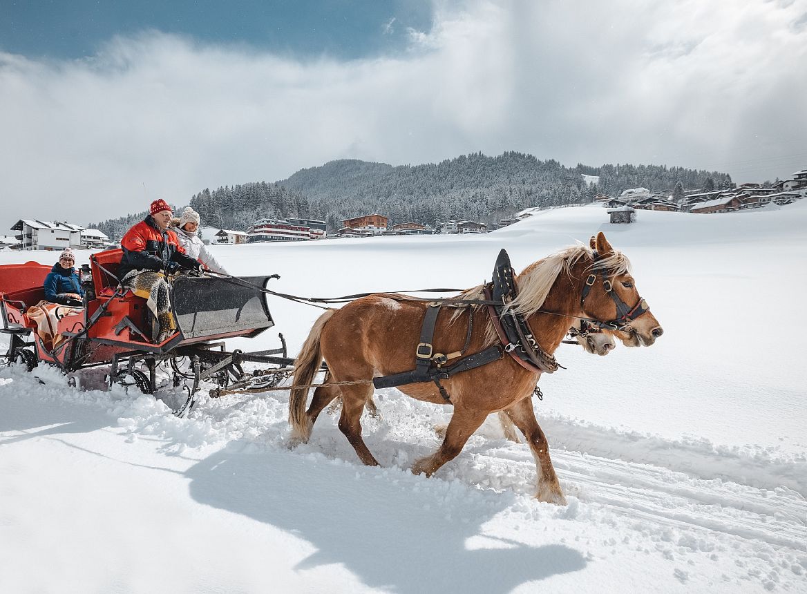 Kutschen-fahren_Ellmau_Foto-von-Felbert_Reiter-(13)©danielreiterpetervonfelbert