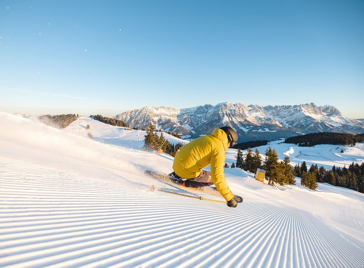 hd-skifahren-1mathaeusgartner-2